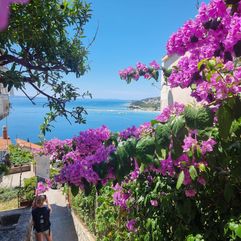 Omis Kroatië Actief Hostel 1